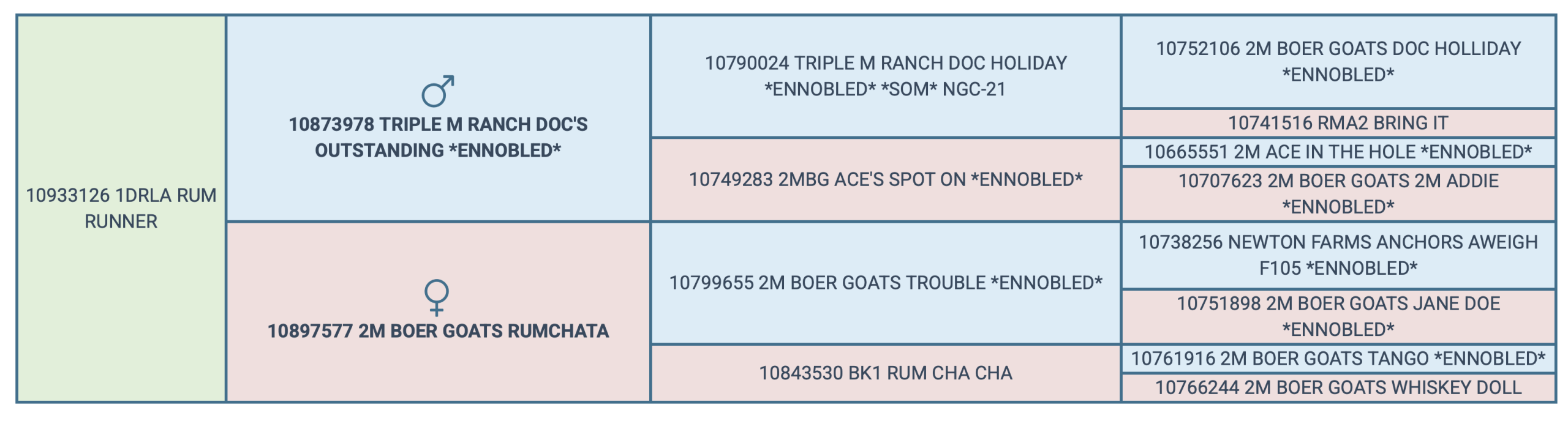 Screenshot 2025-04-19 at 12.58.56 PM